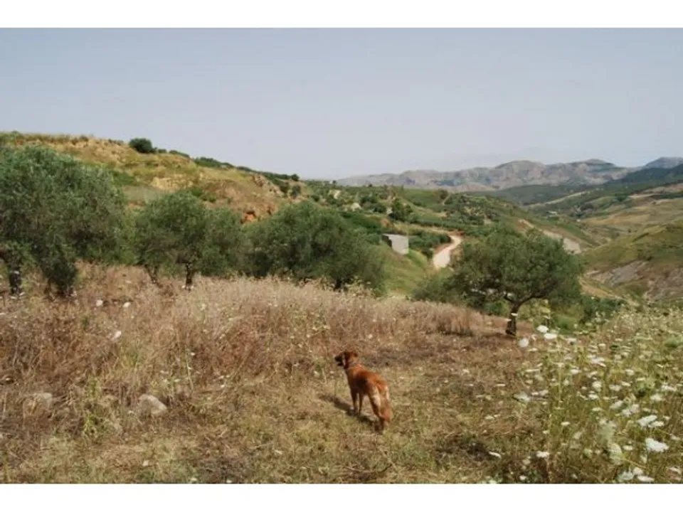 Helårsgrund i Cianciana, Agrigento - foto 2
